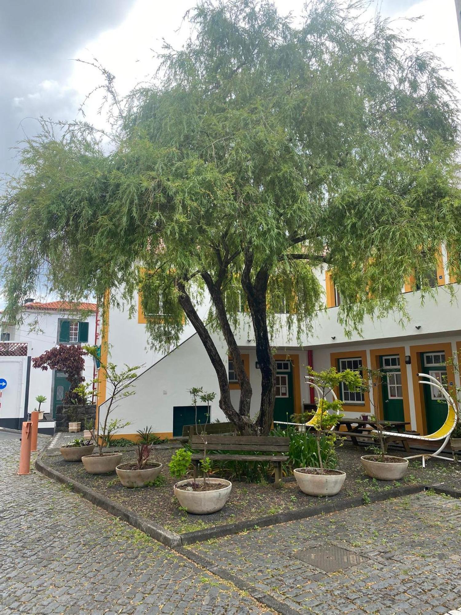 Hospedaria Verdemar Horta  Exteriér fotografie